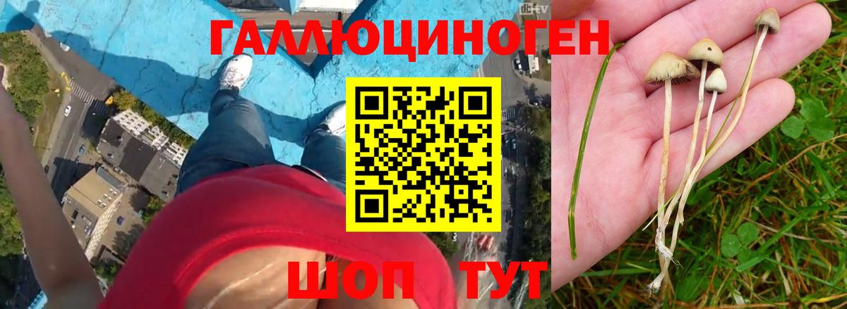 Галлюциногенные грибы ЛСД  Галлюциногенные грибы ЛСД  Таганрог  Вход с VPN 